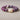 Spirit Lion · Violet Bodhi Seed Bracelet